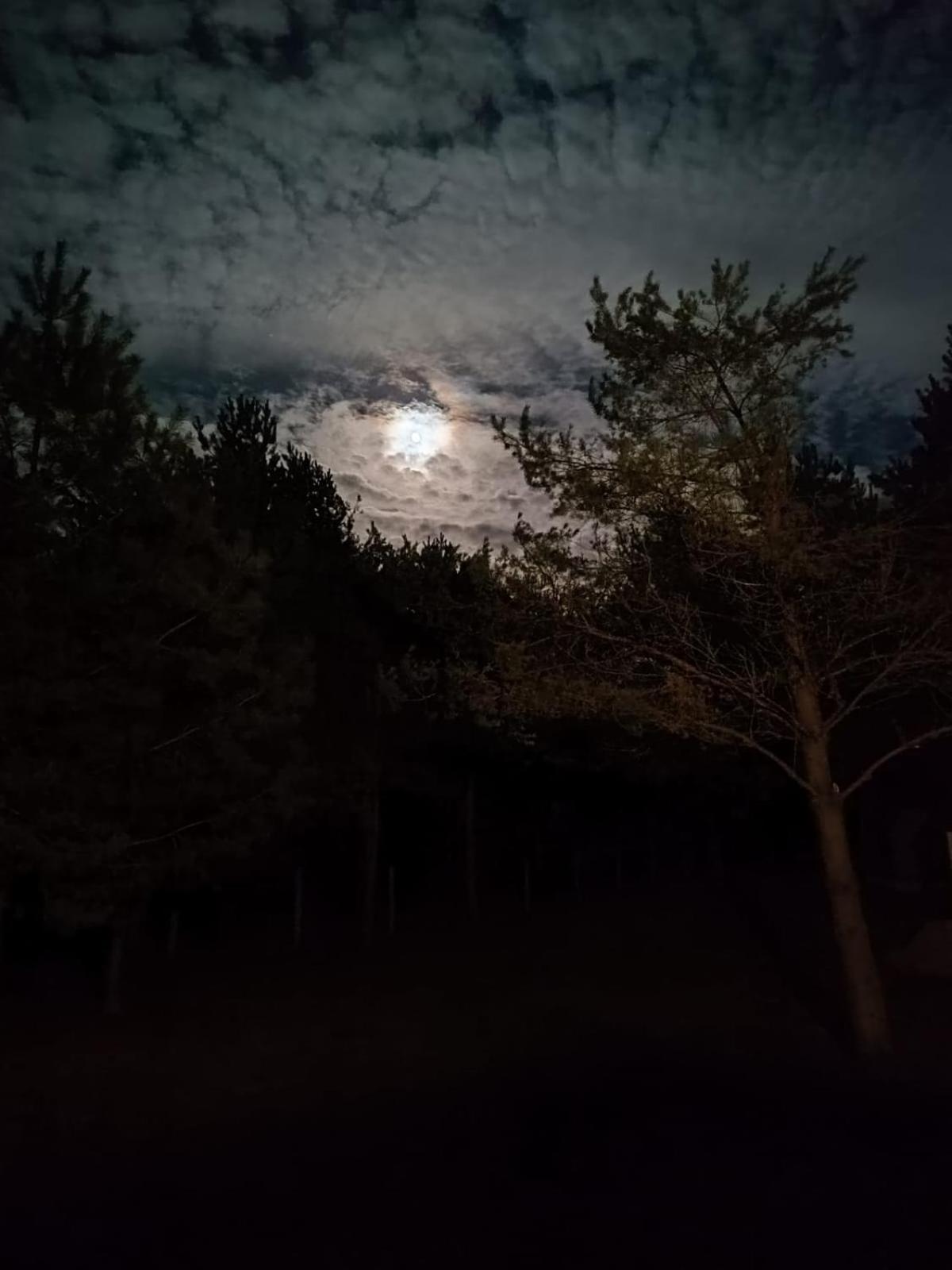 Swietna Chatka Swietne エクステリア 写真